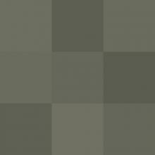 Chicago Olive